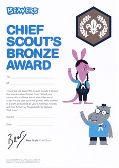 Chief Scout's Bronze Award Certificates (Pack of 10)