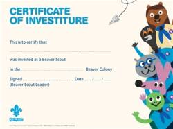 Beaver Investiture Certificates (pack of 10)