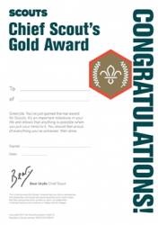 Chief Scout's Gold Award Certificates (Pack of 10)